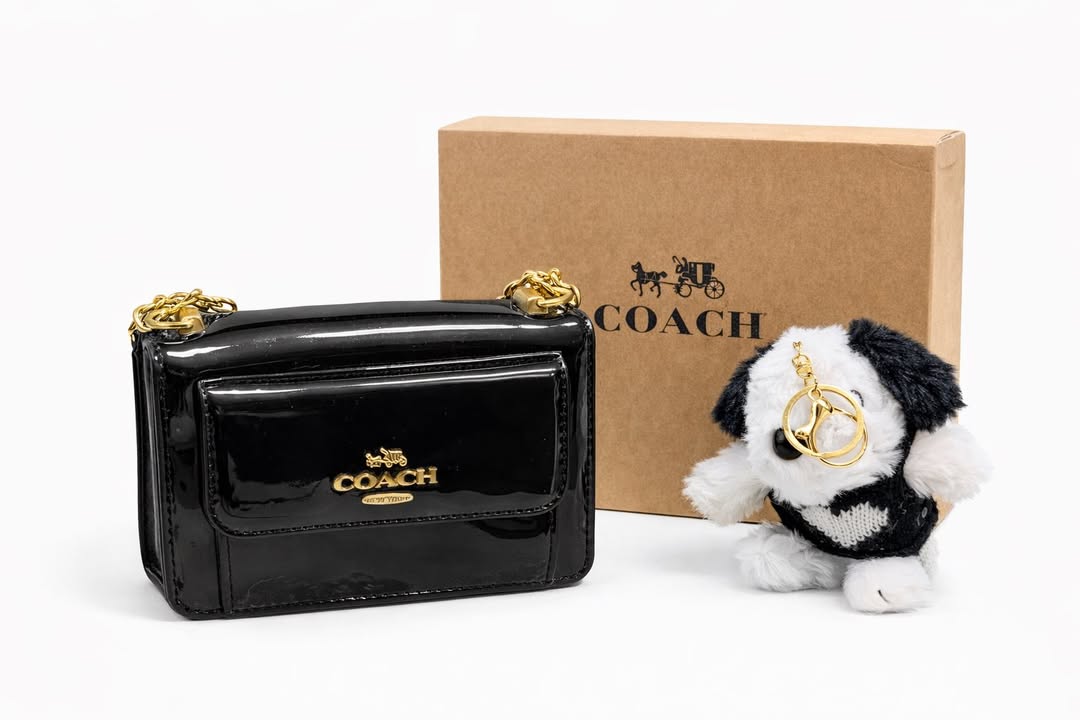 Set de dama Bolsa Pettite con colgante Coa/ch LL-9825