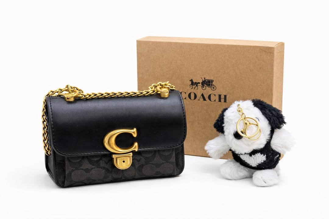 Set de dama Bolsa Pettite con colgante Coa/ch LL-9825